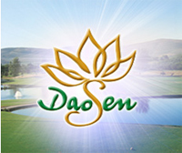 Dao Sen Trading & Service JSC